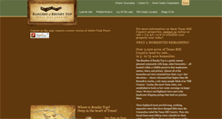 Desktop Screenshot of brushytop.com